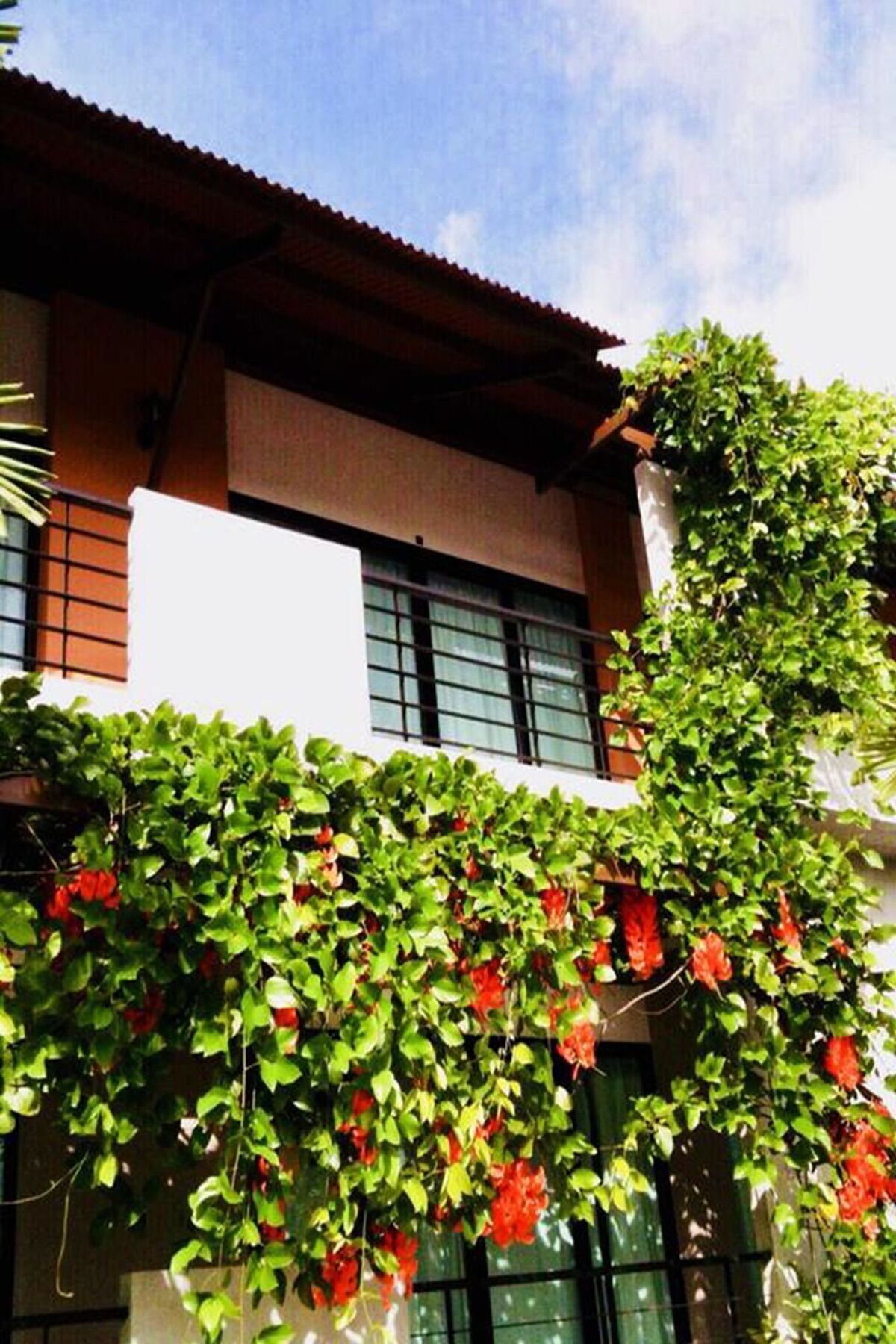 Wassana Sitdharma Guesthouse Trang Extérieur photo
