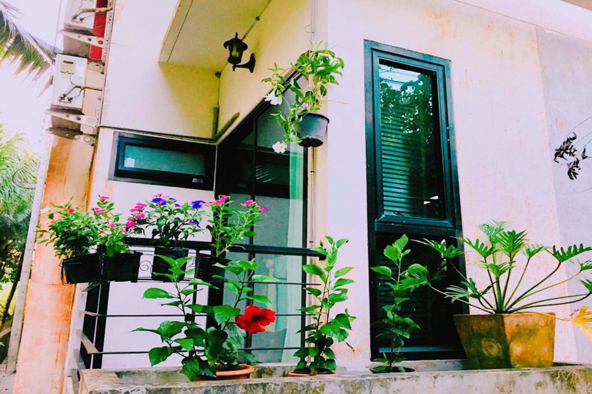Wassana Sitdharma Guesthouse Trang Extérieur photo